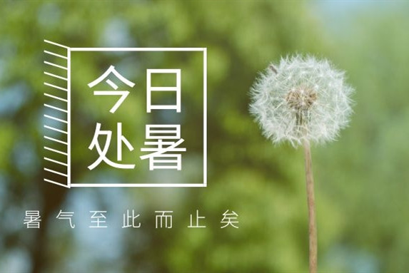 【衡陽(yáng)通用電纜】處暑不是暑，秋涼知我意